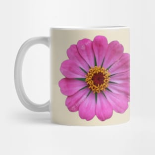 Beautiful pink daisy flower Mug